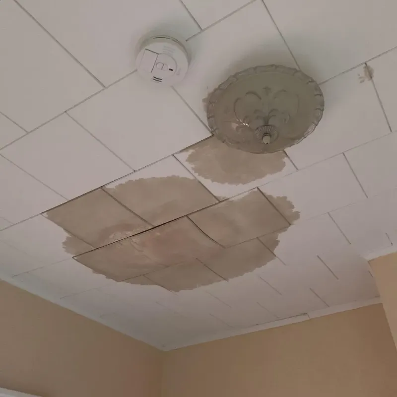 Ceiling Water Damage Repair in Marked Tree, AR