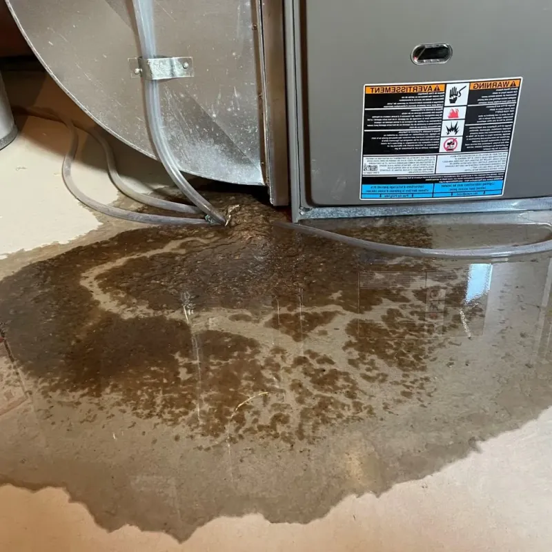 Pipe Burst and Leak Restoration in Marked Tree, AR