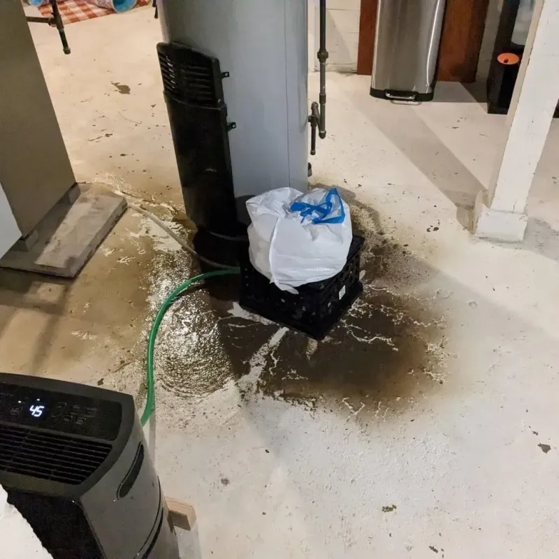 Sewage Backup Cleanup Service in Marked Tree, AR